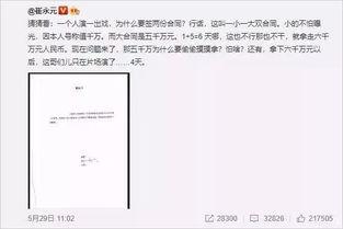 冯小刚爆料完整视频,揭秘娱乐圈幕后真相